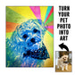 Personalized Pet Portraits - Color Scope