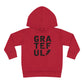 Grateful Grunge Toddler Hoodies