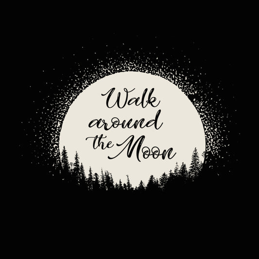 Walk around the moon