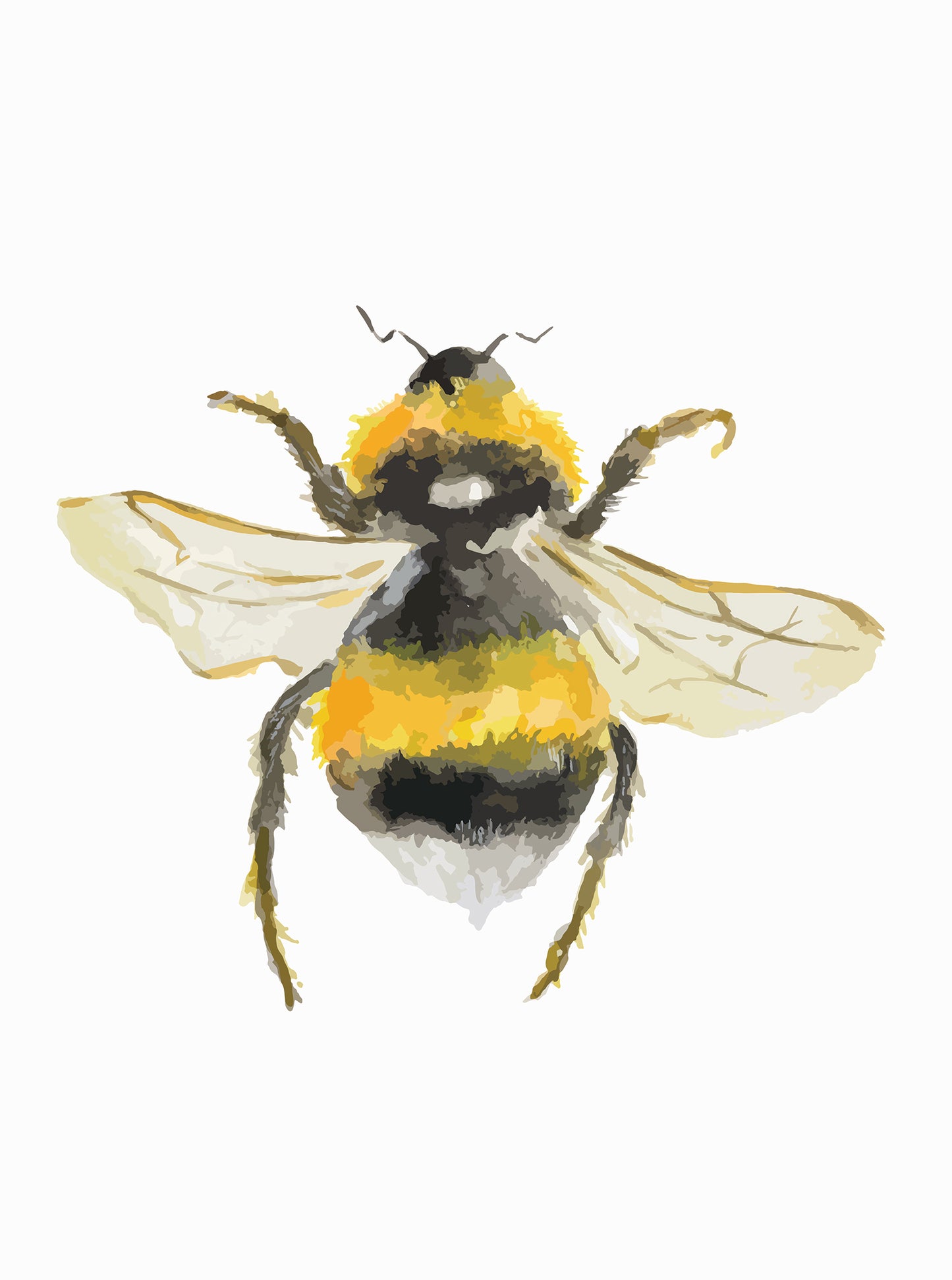 Bumble Bee Art Print