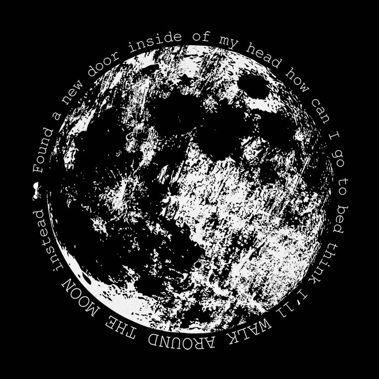 Walk Around The Moon Lyrics